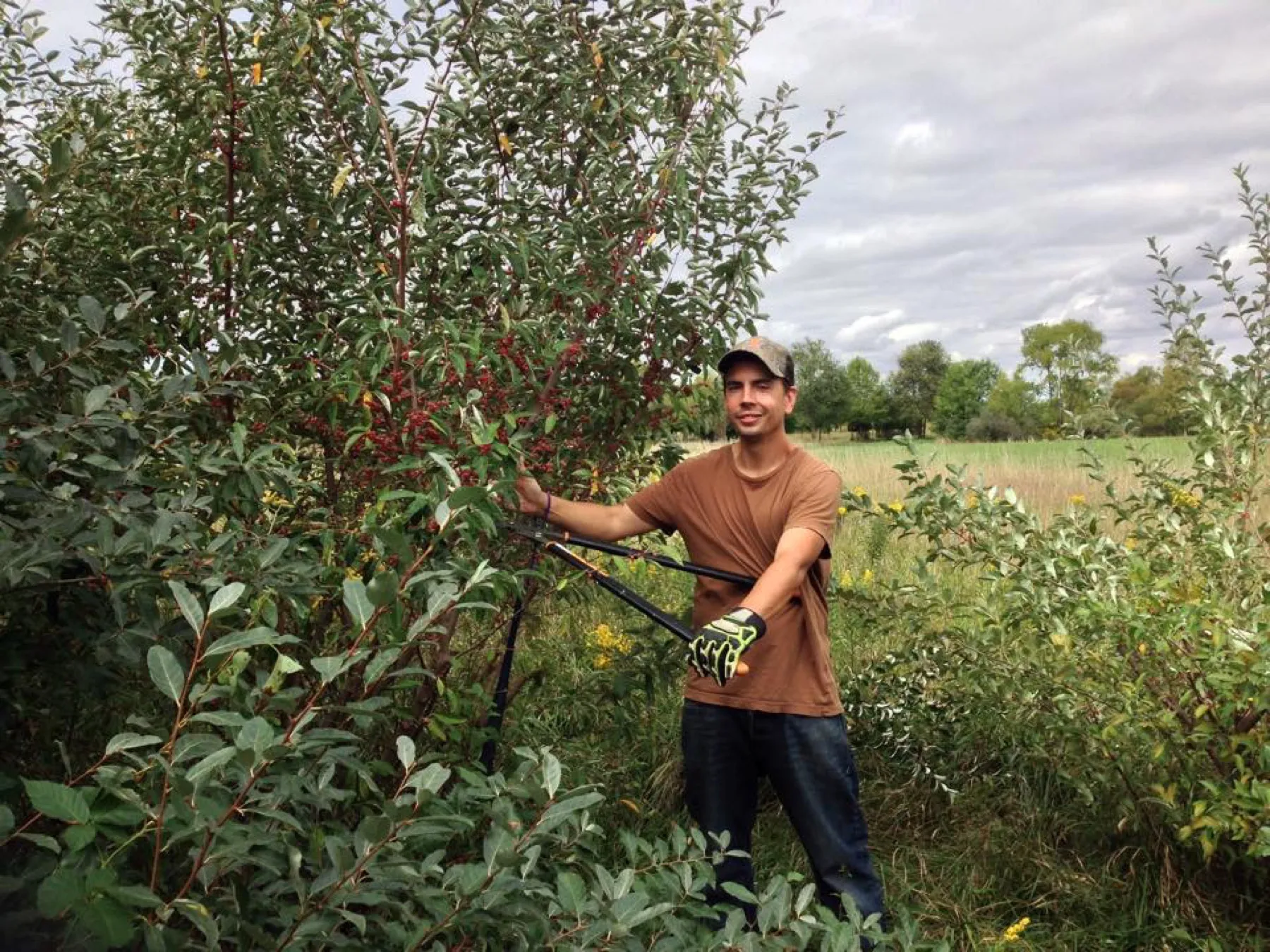 Dustin Kelly standing in a thicket of autumn olive at the edge of a field, holding a pair of loppers.