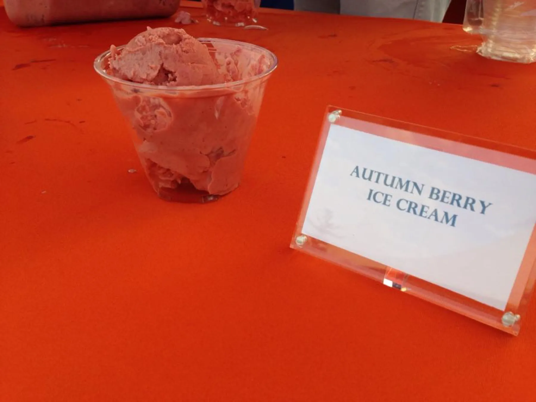 A cup of pink autumn berry ice cream beside a sign that says Autumn Berry Ice Cream.