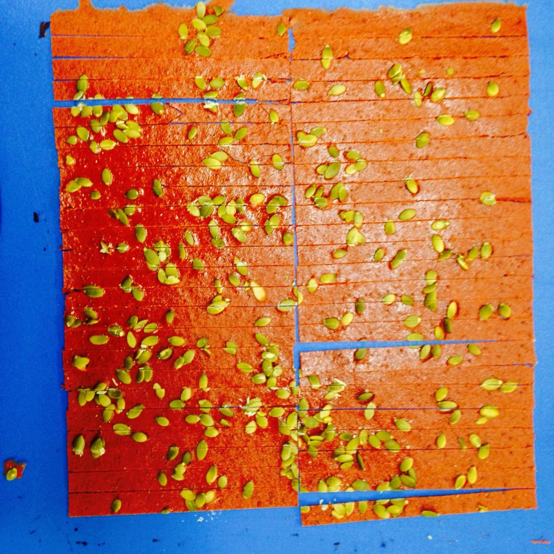 A sheet of red autumn berry fruit leather scored into strips and scattered with pumpkin seeds.
