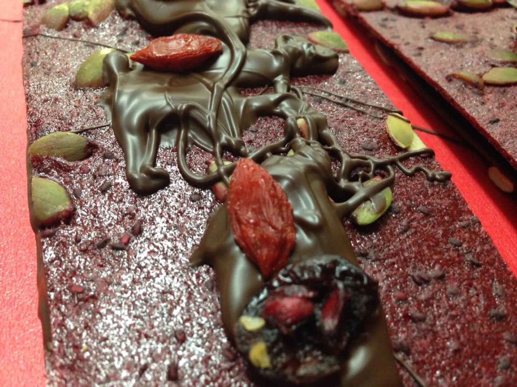 Chocolate-covered fruit leather topped with goji berries and pumpkin seeds.