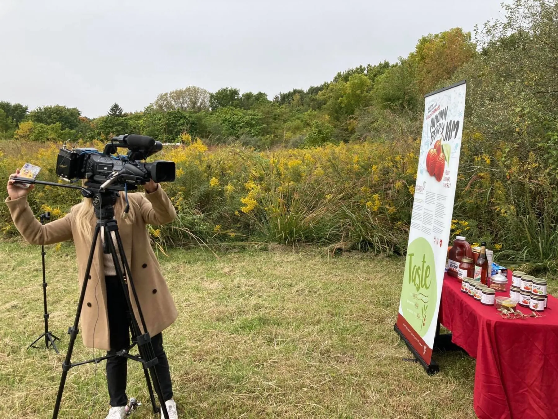 A television camera on a tripod filming beside a table of autumn berry products in a meadow.